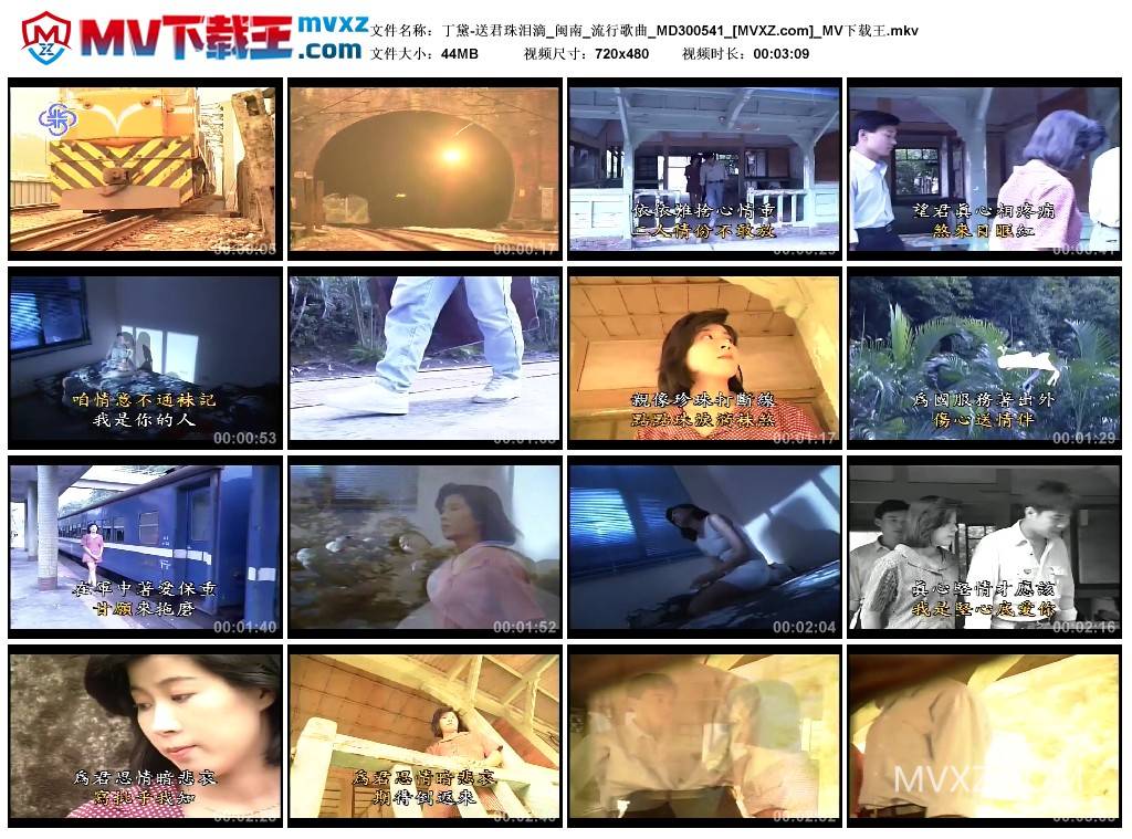 丁黛-送君珠泪滴_闽南_流行歌曲_MD300541